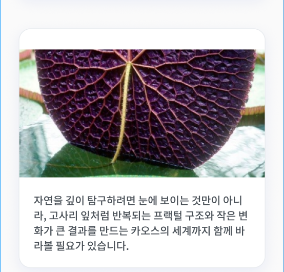 자연을 깊이 탐구하려면 눈에 보이는 것만이 아니라, 고사리 잎처럼 반복되는 프랙털 구조와 작은 변화가 큰 결과를 만드는 카오스의 세계까지 함께 바라볼 필요가 있습니다